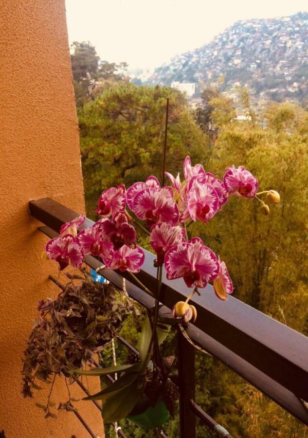 Courtyards Peak-Corner Pinestay - At Goshenland Baguio Baguio City Eksteriør billede
